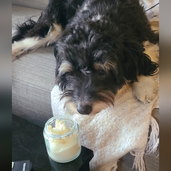 Ground & Guard Paw Balm - Picture 4 of 4